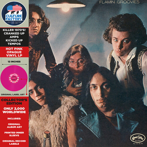 Flamin' Groovies - Flamingo LP ( VINYL )