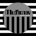 Mudhoney - Morning In America LP ( VINYL )