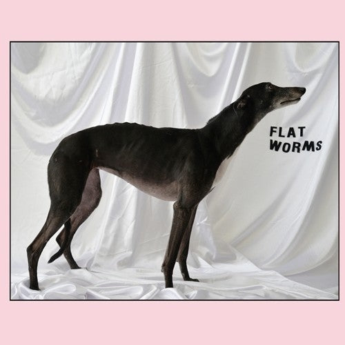 Flat Worms - S/T LP ( VINYL )