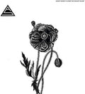 Ancient Shapes - Flower That Wouldn't Bloom LP ( VINYL )