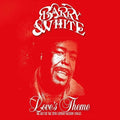 Barry White - Love's Theme: The Best Of The 20th Century Records Singles 2LP ( VINYL )