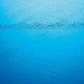 Caribou - Suddenly LP ( VINYL )