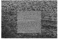 Grouper - Grid Of Points LP ( VINYL )