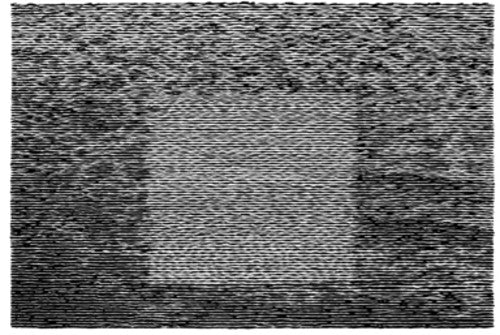 Grouper - Grid Of Points LP ( VINYL )