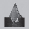 Molchat Doma - S Krysh Nashikh Domov LP (Grey Marble Vinyl) ( VINYL )