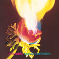 Adorable - Against Perfection LP (Music On Vinyl) ( VINYL )
