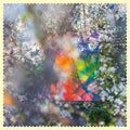 Four Tet - Sixteen Oceans LP ( VINYL )