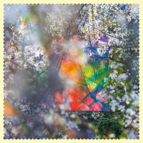 Four Tet - Sixteen Oceans LP ( VINYL )