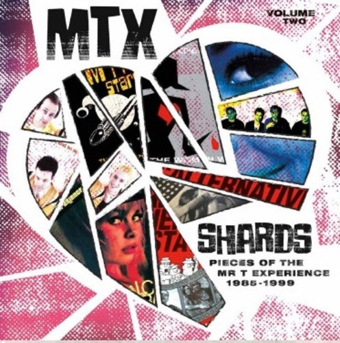 Mr. T Experience - Shards Vol. 2 LP ( VINYL )