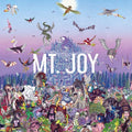 Mt. Joy - Rearrange Us CD ( VINYL )