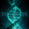 Disturbed - Evolution LP ( VINYL )