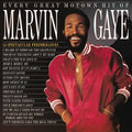 Marvin Gaye - Every Great Motown Hit Of Marvin Gaye: 15 Spectacular Performances LP ( VINYL )