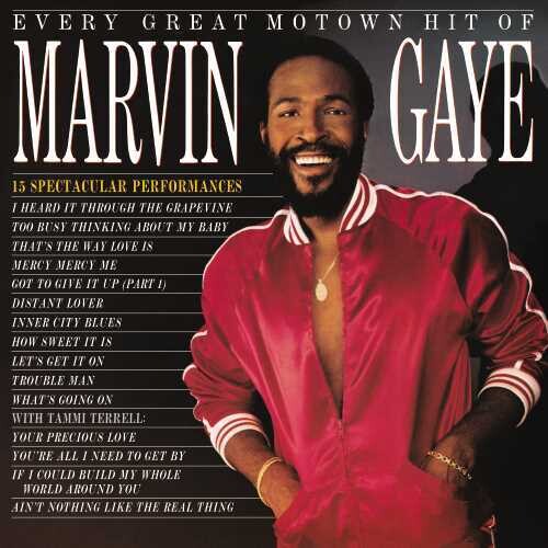 Marvin Gaye - Every Great Motown Hit Of Marvin Gaye: 15 Spectacular Performances LP ( VINYL )