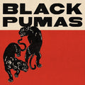 Black Pumas - S/T CD ( VINYL )
