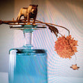 Beirut - Gallipoli LP ( VINYL )