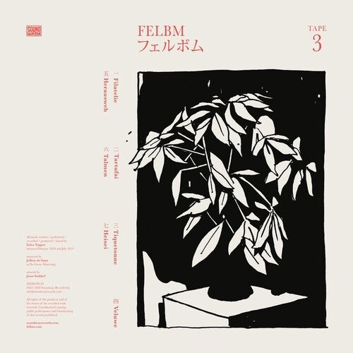 Felbm - Tape 3 / Tape 4 LP ( VINYL )