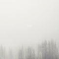 Jesu - Terminus LP ( VINYL )