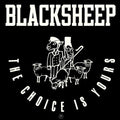 Black Sheep - The Choice Is Yours 7" ( VINYL )