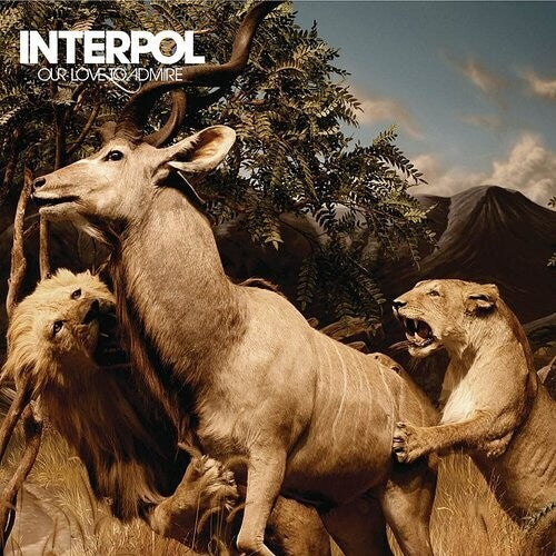 Interpol - Our Love To Admire CD (Softpak) ( VINYL )