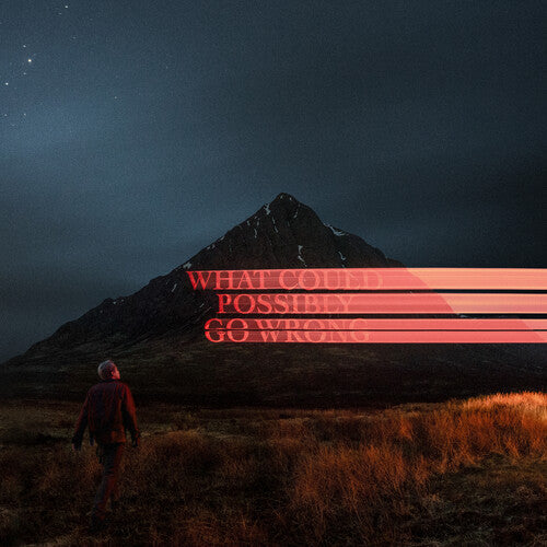 Dominic Fike - What Could Possibly Go Wrong LP (140g, Gatefold, + Poster) ( VINYL )