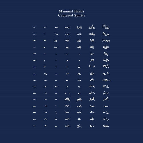 Mammal Hands - Captured Spirits 2LP ( VINYL )