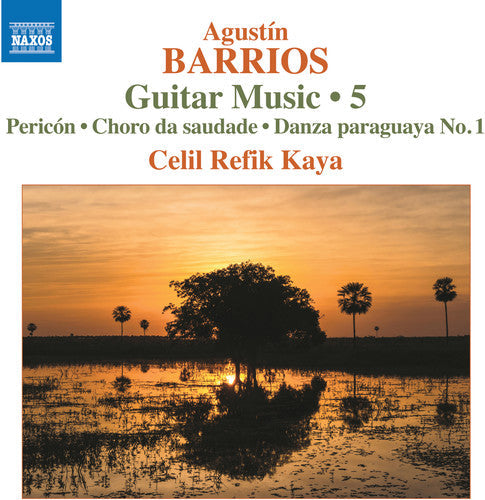 Guitar Music 5 CD ( VINYL )