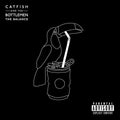 Catfish & the Bottlemen - The Balance LP (Gatefold) ( VINYL )