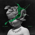 Lil Baby & Gunna - Drip Harder LP ( VINYL )