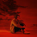 Lewis Capaldi - Divinely Uninspired To A Hellish Extent LP ( VINYL )