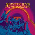 Acid Mothers Temple & The Melting Paraiso U.F.O. - S/T 2LP ( VINYL )