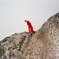 Cate Le Bon - Reward LP (Gatefold) ( VINYL )
