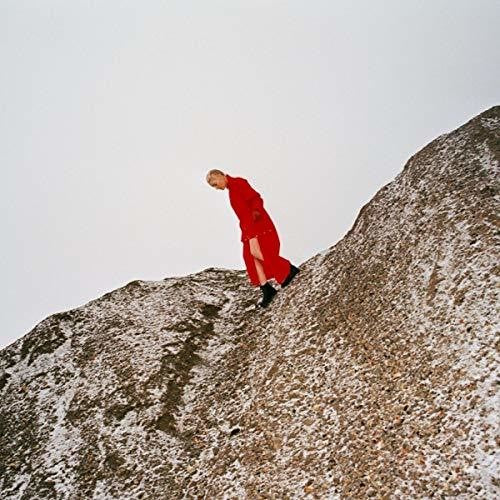 Cate Le Bon - Reward LP (Gatefold) ( VINYL )