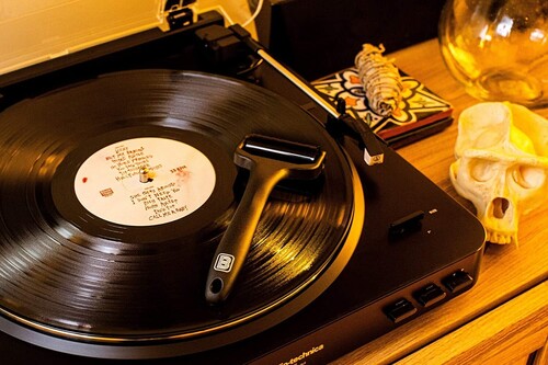 Big Fudge - Record Pal (Cleaning & Anti-Static Duster) ( VINYL )
