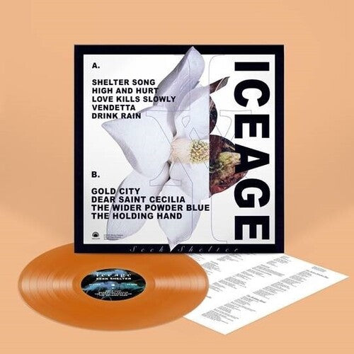 Iceage - Seek Shelter LP (Orange Vinyl) ( VINYL )