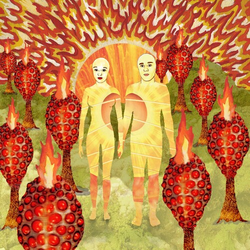 Of Montreal - The Sunlandic Twins 2LP (Red/Orange Swirl Vinyl, Gatefold) ( VINYL )
