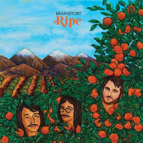 Brainstory - Ripe 12" ( VINYL )
