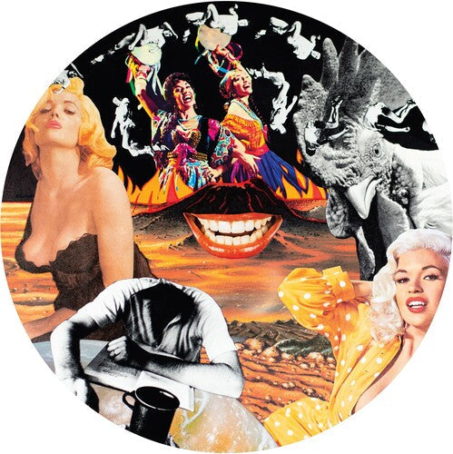 Nurse With Wound - Sylvie & Babs LP ( VINYL )