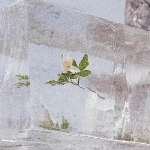 Efterklang - Windflowers LP (Clear Vinyl) ( VINYL )