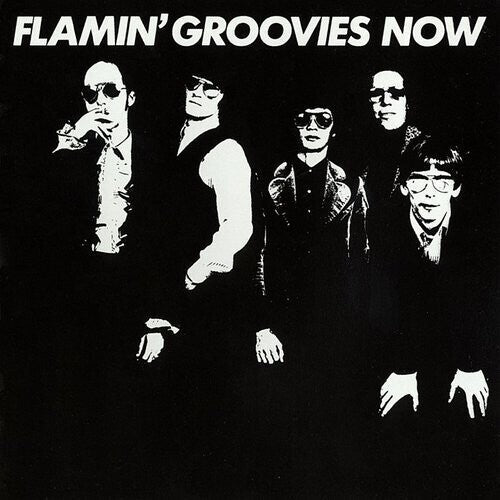 Flamin' Groovies - Now LP ( VINYL )