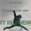 Guided By Voices - It's Not Them. It Couldn't Be Them. It Is Them! LP ( VINYL )