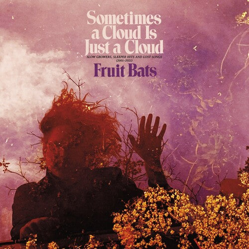 Fruit Bats - Sometimes A Cloud Is Just A Cloud: Slow Growers, Sleeper Hits And Lost Songs (2001-21) 2LP (Pink Violet Vinyl, Gatefold) ( VINYL )