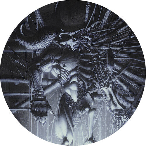 Danzig - Danzig 5: Blackacidevil LP (Picture Disc) ( VINYL )