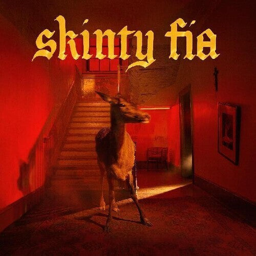 Fontaines D.C. - Skinty Fia CD (Softpak) ( VINYL )