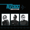 Buzzcocks - Sonics In The Soul LP ( VINYL )