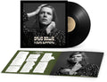 David Bowie - A Divine Symmetry (An Alternative Journey Through Hunky Dory) LP ( VINYL )