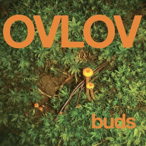 Ovlov - Buds LP (Orange Colored Vinyl) ( VINYL )
