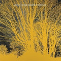 Nada Surf - Stars Are Indifferent To Astronomy LP ( VINYL )