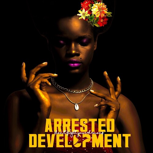 Arrested Development - Don't Fight Your Demons 2LP ( VINYL )