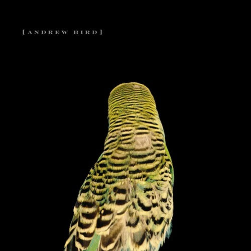 Andrew Bird - Armchair Apocrypha LP ( VINYL )