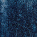 Jesu - Never LP ( VINYL )
